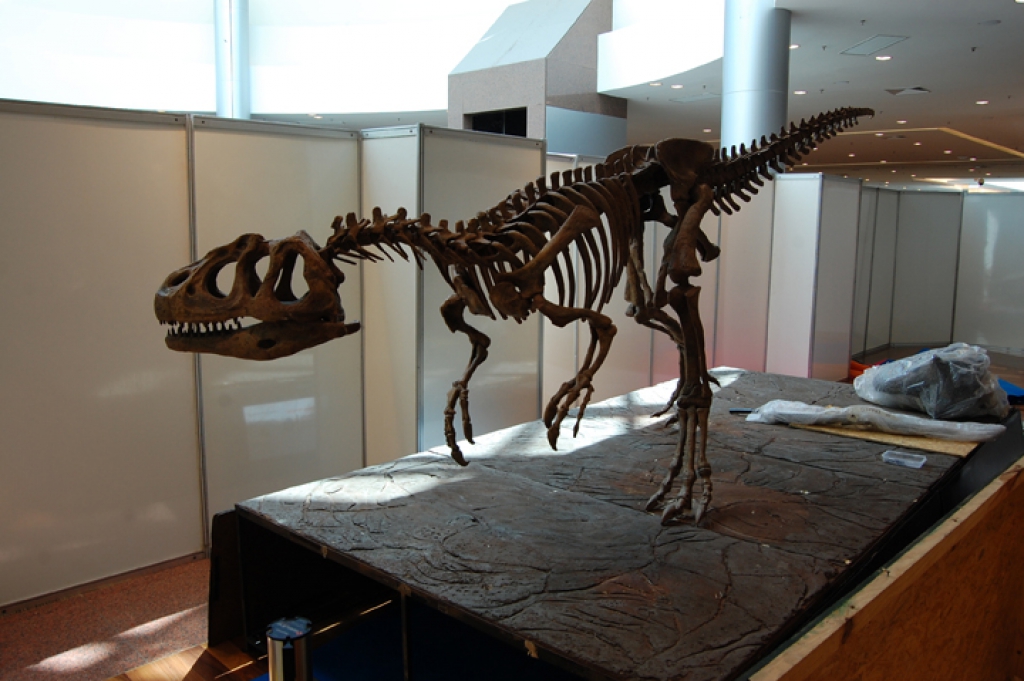 Making of the exhibition 'Dinossauros da Patag&ocirc;nia', Ribeir&atilde;o Preto (2011)