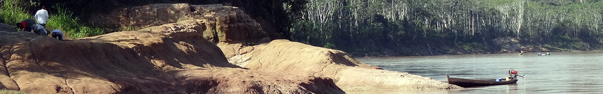 Solim&otilde;es Formation